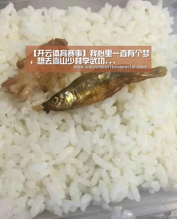 【开云体育赛事】我心里一直有个梦,想去嵩山少林学武功...(图2) 开云体育官方入口