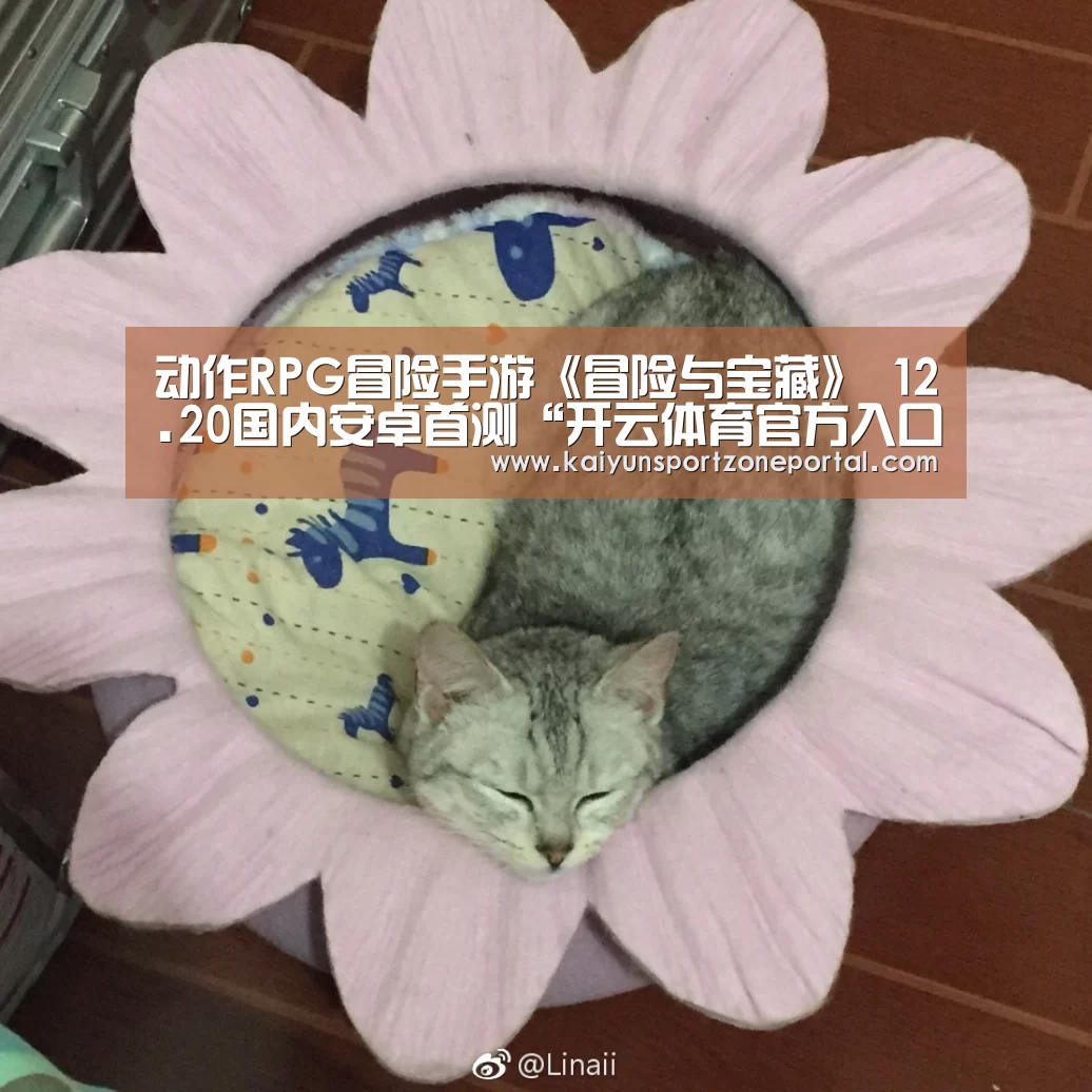 动作RPG冒险手游《冒险与宝藏》 12.20国内安卓首测“开云体育官方入口”(图1) 开云体育赛事